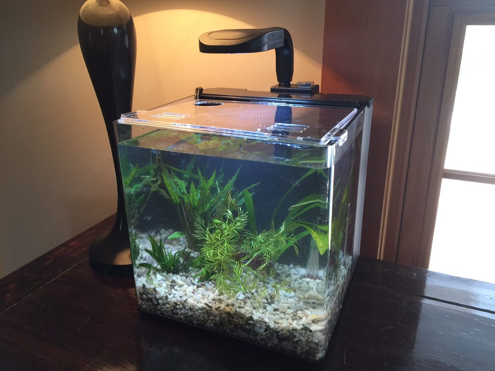 claremont pet aquarium center pet stores 201 claremont pet aquarium center pet stores 201