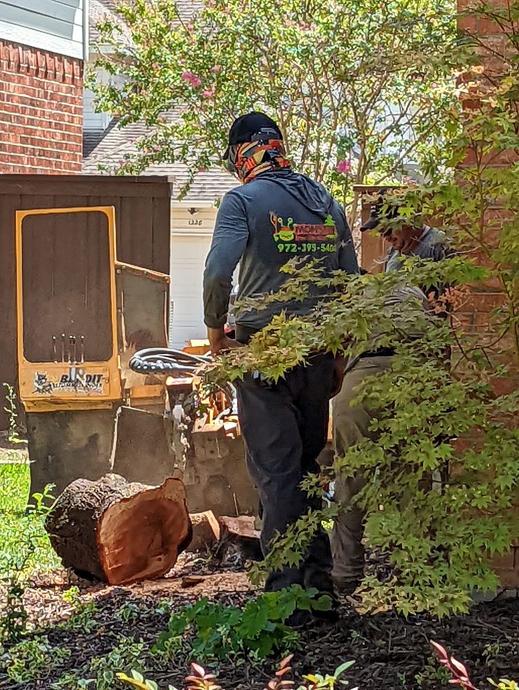 Monster Tree Service of North Dallas