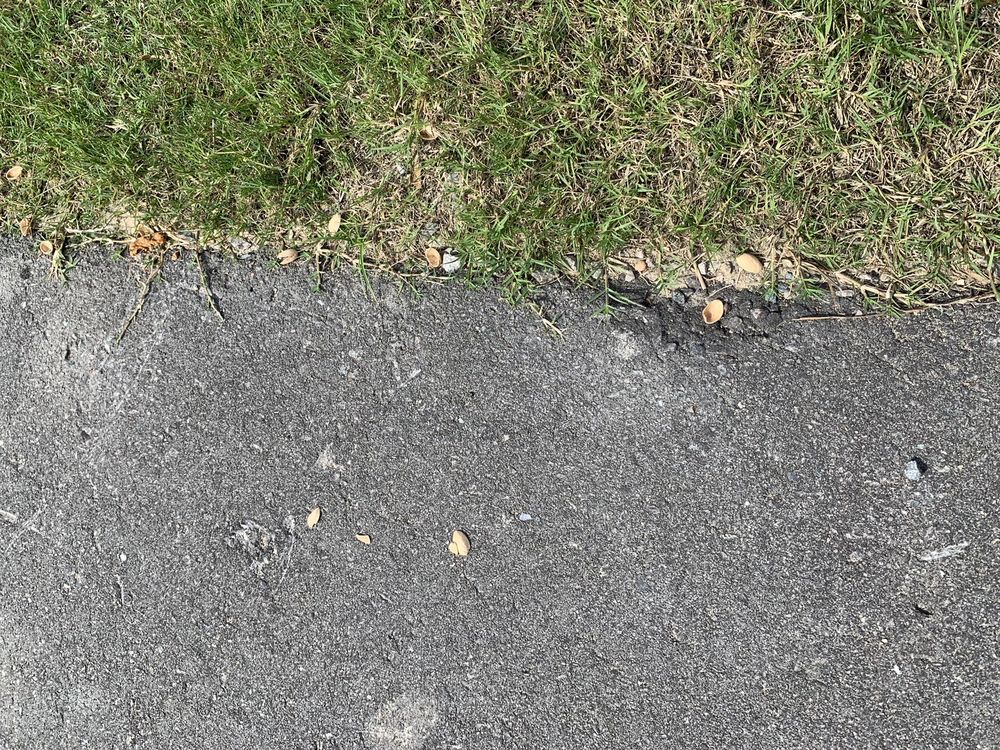 Coleman Worldwide Moving