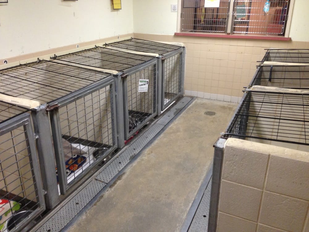 Kitsap Humane Society 13 Photos & 24 Reviews Animal Shelters 9167