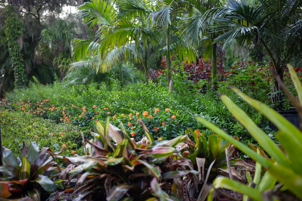 Let's Grow Nursery