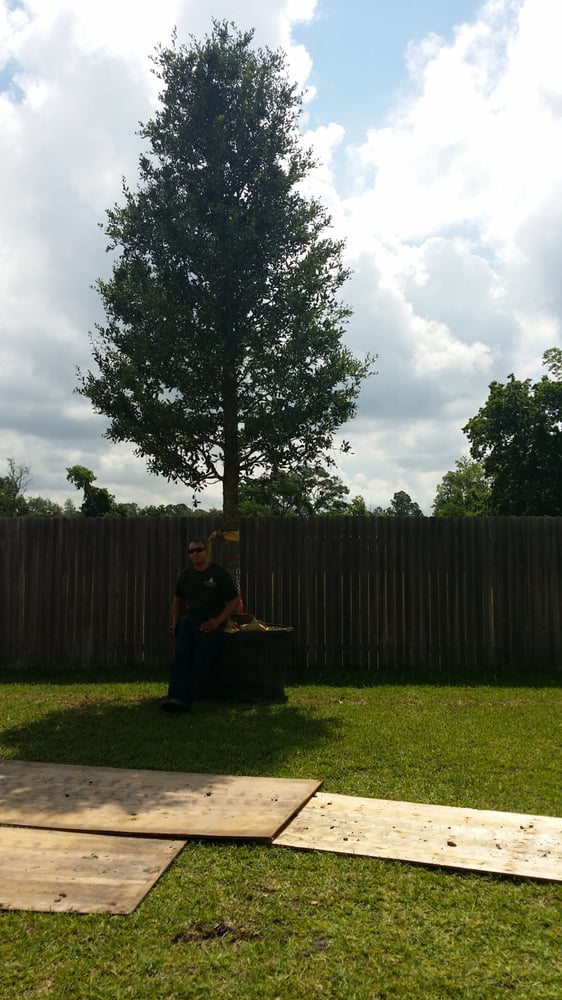 200 Gallon Live Oak Yelp Photo Of Natural Wonders Landscaping Houston Tx United States 200 Gallon Live
