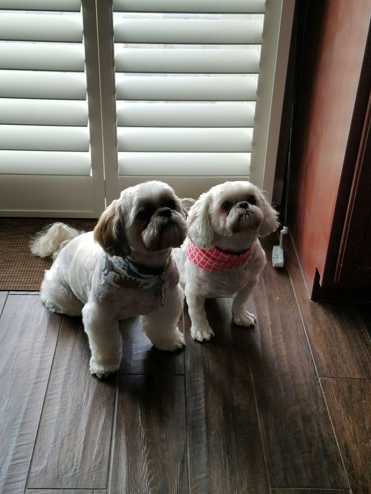 Simply Grooming by Rita Pet Groomers 1110 Marshall Rd, Vacaville