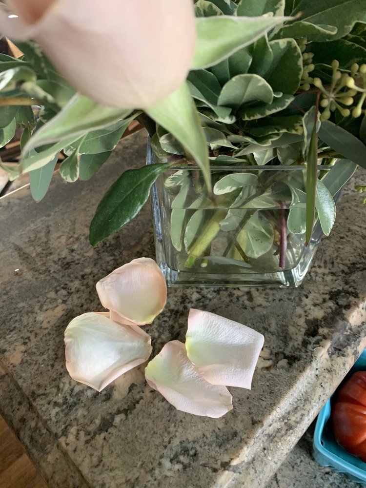 Toshi Flowers Watsonville Fl Best Flower Site