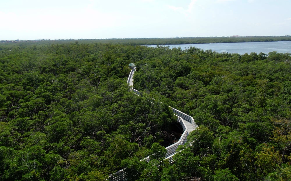 Anne Kolb Nature Center Observation Tower Anne Kolb Nature Center Observation Tower