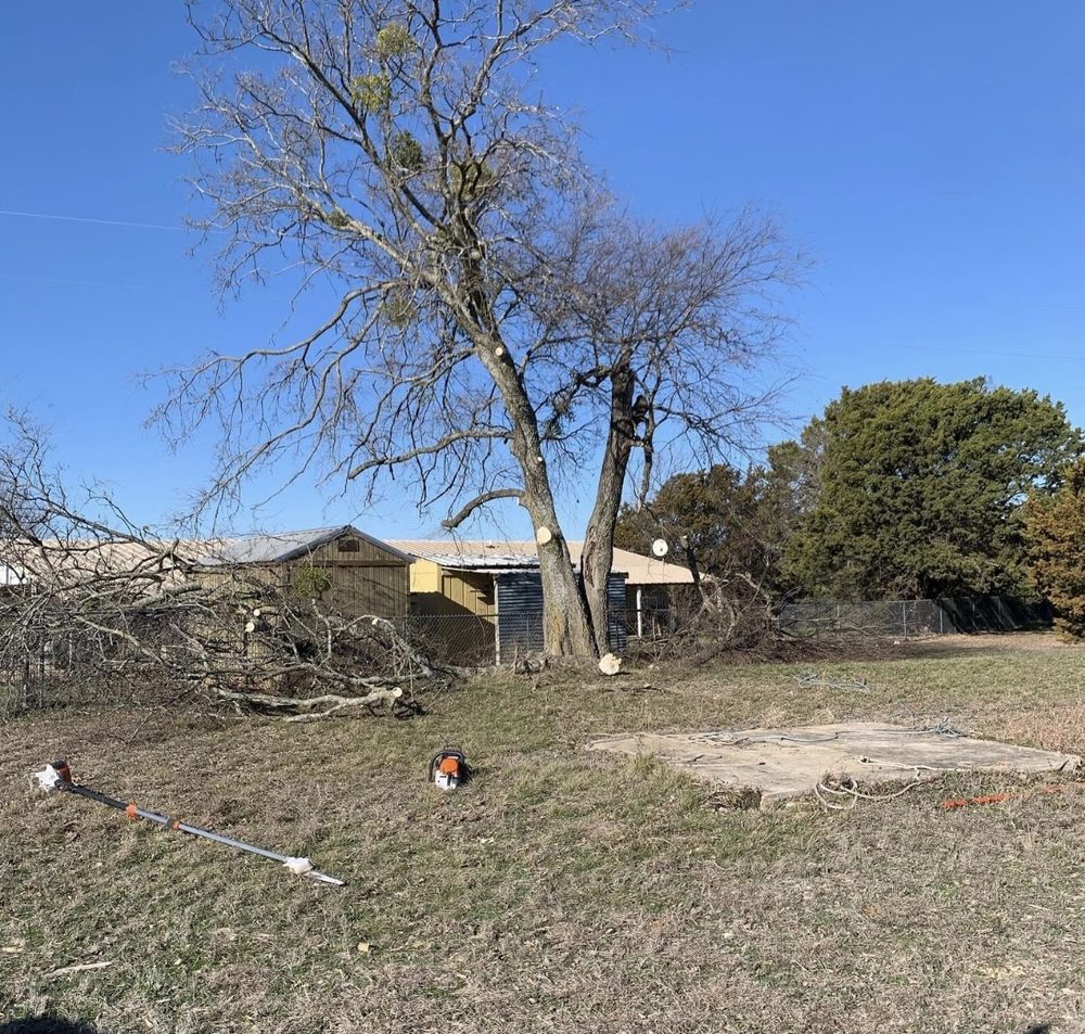 Lopez Tree Service