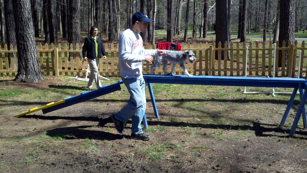 Service Dog Training Virginia Beach Service Dog Training Virginia Beach