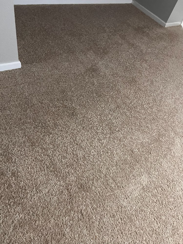 3 Bears Carpet Cleaning