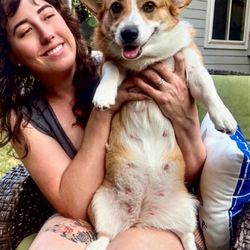 VCA Tanglewood Animal Hospital photo