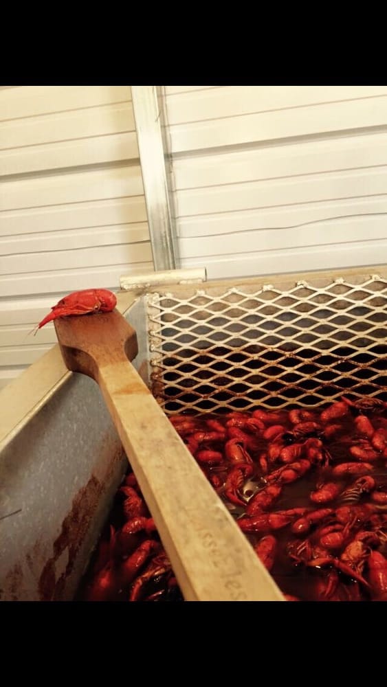 Mud Hornet's Crawfish