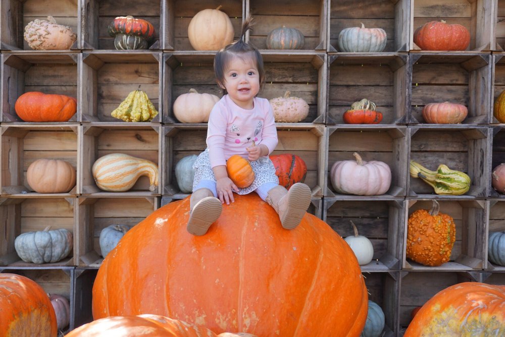 Nalls Produce 73 Photos & 68 Reviews Fruits & Veggies 7310 Beulah