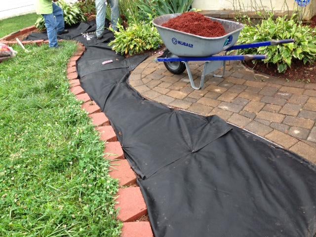 Green Fussion Services