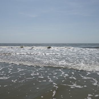 Sullivan S Island Beach 157 Photos 89 Reviews Beaches 100 Photo Of Sullivan S Island Beach Sc United States