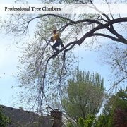 Atlas Tree Service Landscaping 4874 S 300th W Murray Salt Lake Photo Of Atlas Tree Service Salt Lake City Ut United States We
