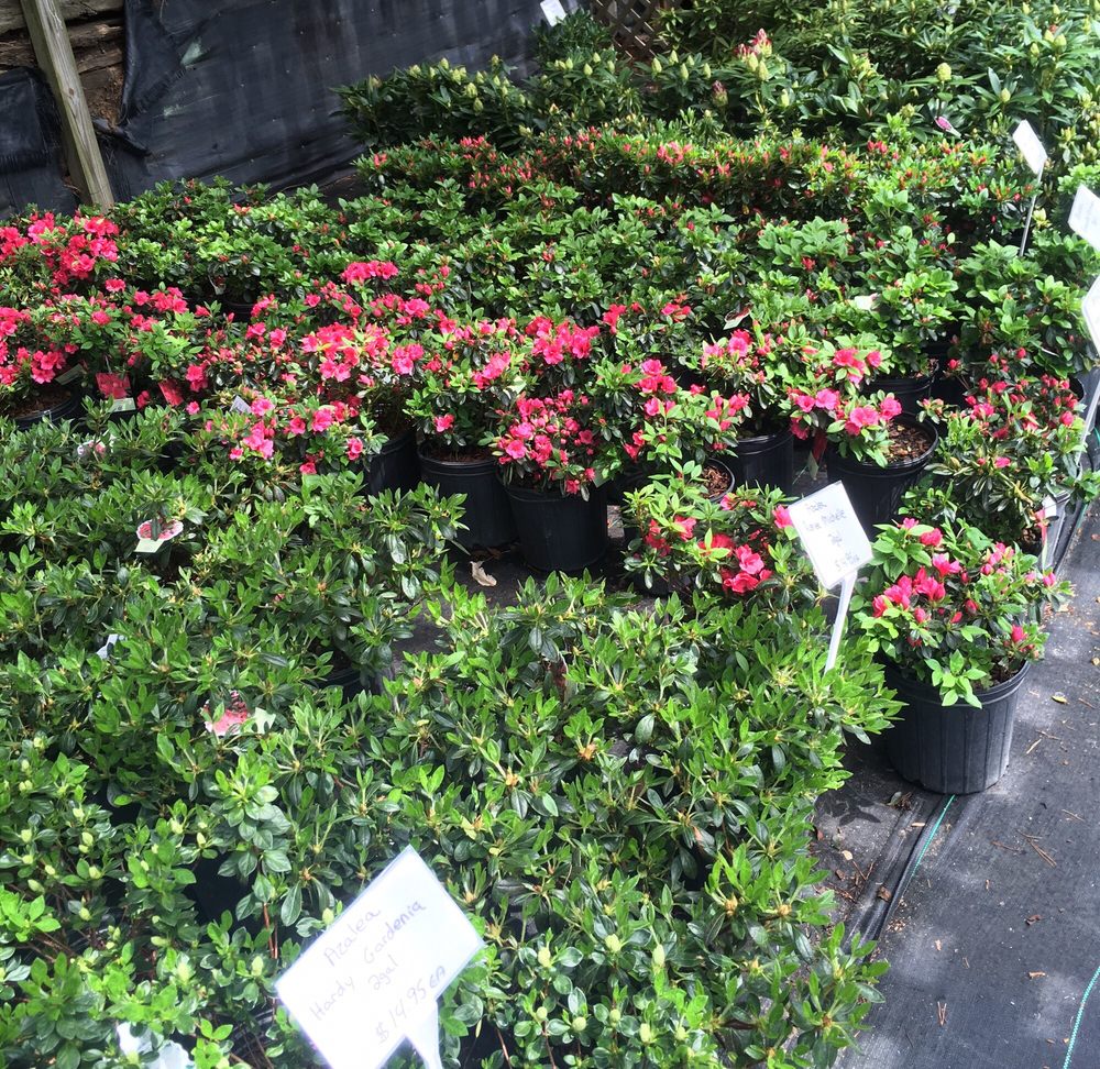 Shouse Nursery Retail Outlet