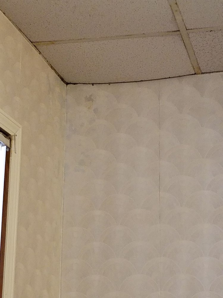 Black Mold Water Damaged Ceiling Tiles Ling Wallpaper Falling Photo Of China City Restaurant Fort Smith Ar United States Black Mold