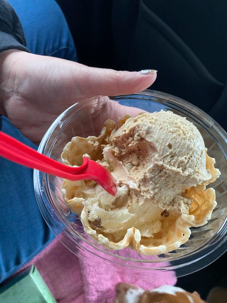 Bruster's Real Ice Cream