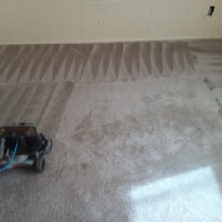 Dna Steemer Carpet Cleaning 13 Photos 8445 N Dna Steemer Carpet Cleaning 13 Photos 8445 N 23rd Ave Phoenix Az Phone Number Yelp