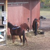 speed dating valley zoo