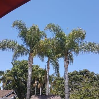 Marina Beach Motel 77 Photos 97 Reviews Hotels 21 Bath St Photo Of Marina Beach Motel Santa Barbara Ca United States