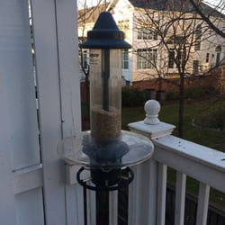 The Bird Feeder 1675 Reston Pkwy Reston Va 20 Reviews Pet