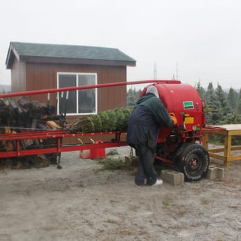 luers christmas tree farm 83 photos christmas trees luers christmas tree farm 83 photos christmas trees