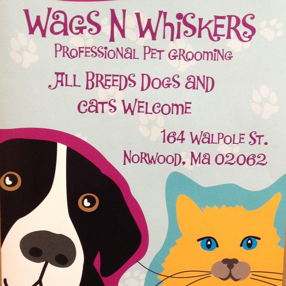 wags n whiskers wags n whiskers