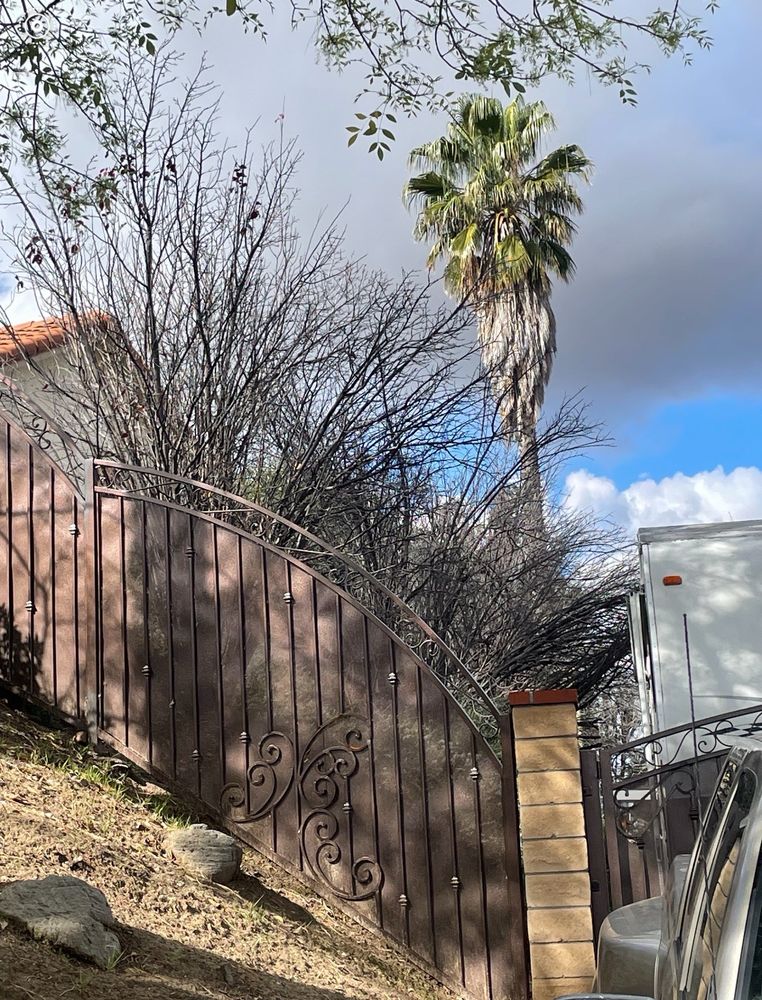 Tree Trimming 4 Less