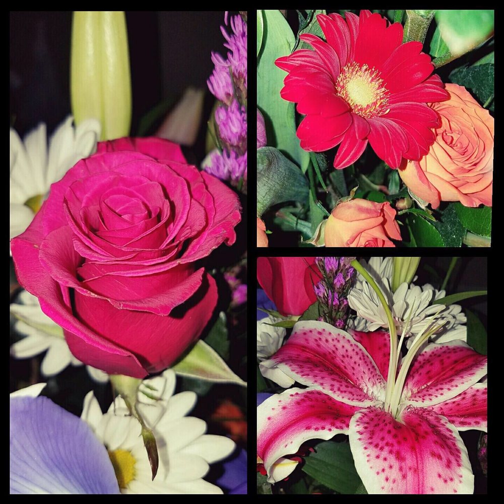 The Flower Basket 24 Photos & 13 Reviews Florists 9141 Baltimore