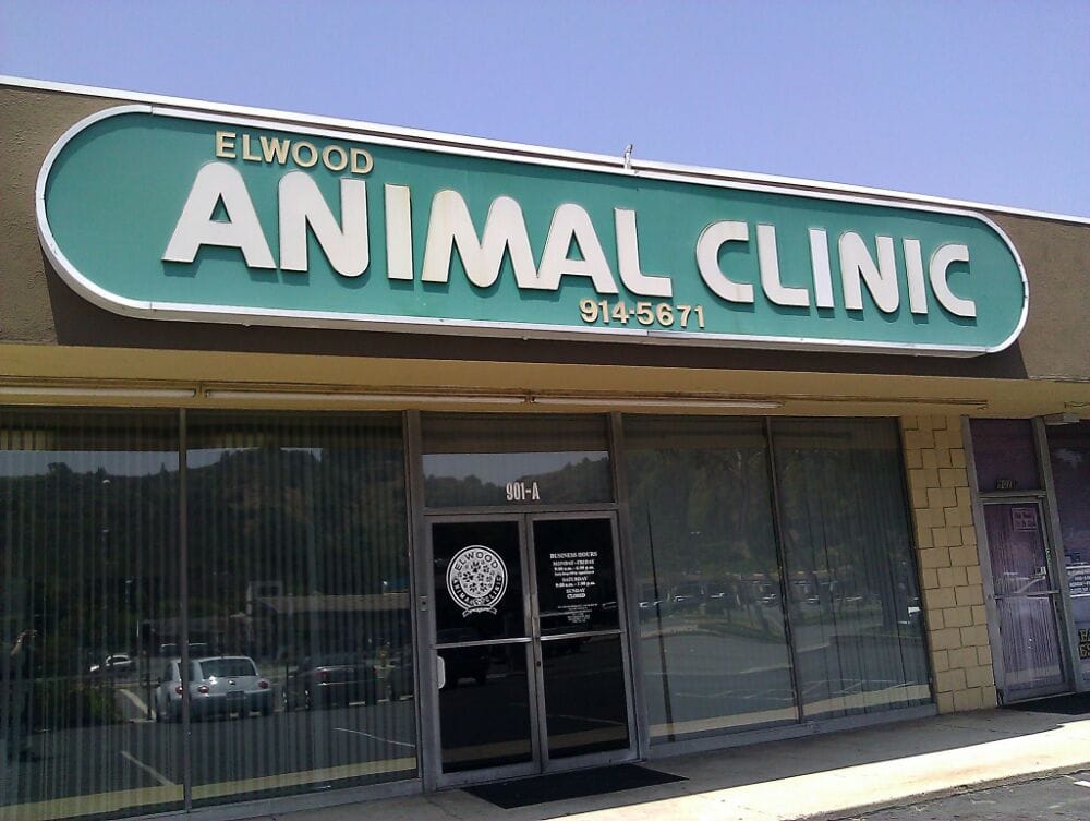 Elwood Animal Clinic 14 Photos & 97 Reviews Veterinarians 901 E