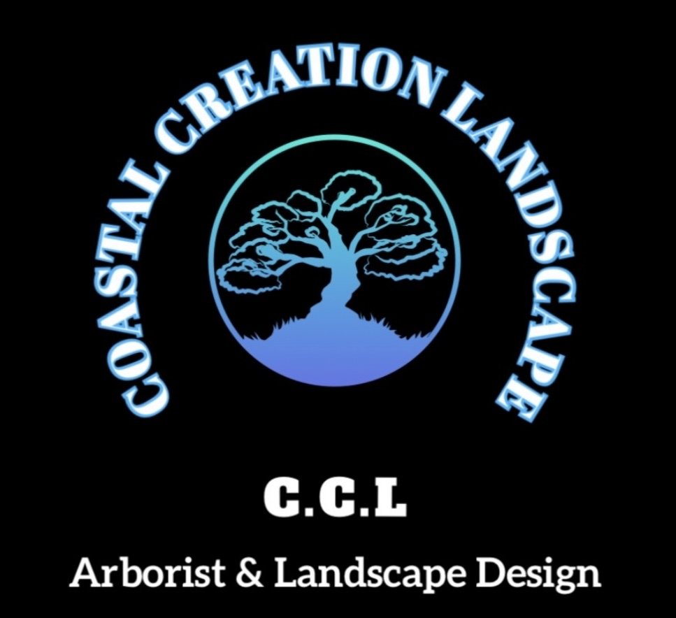 Coastal Creation Landscape