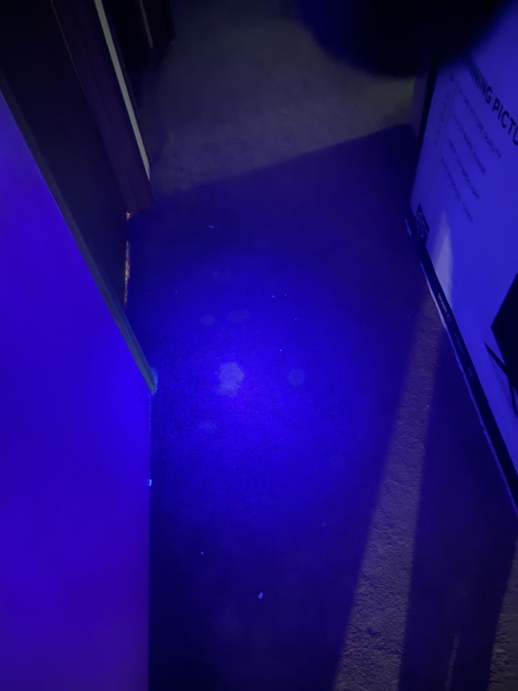 Jevons Property Management