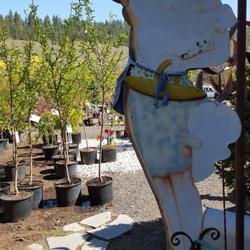 Blue Moon Garden And Nursery Temp Closed 14 Photos Nurseries Photo Of Blue Moon Garden And Nursery Spokane Wa United States