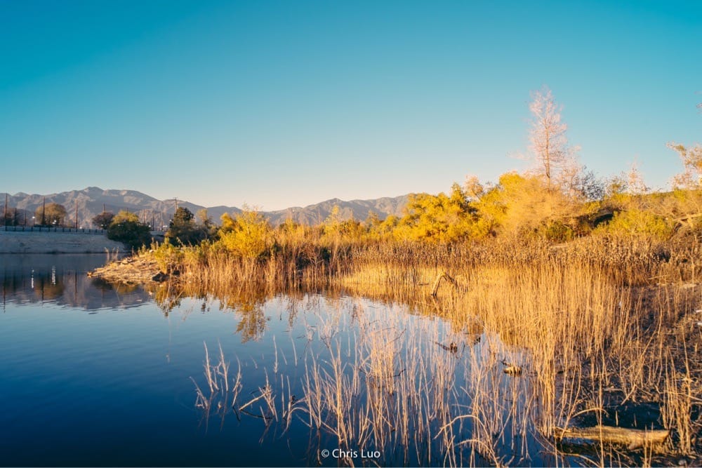 Peck Road Water Conservation Park 158 Photos & 38 Reviews Parks