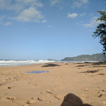secret beach lava pools 131 photos 77 reviews beaches