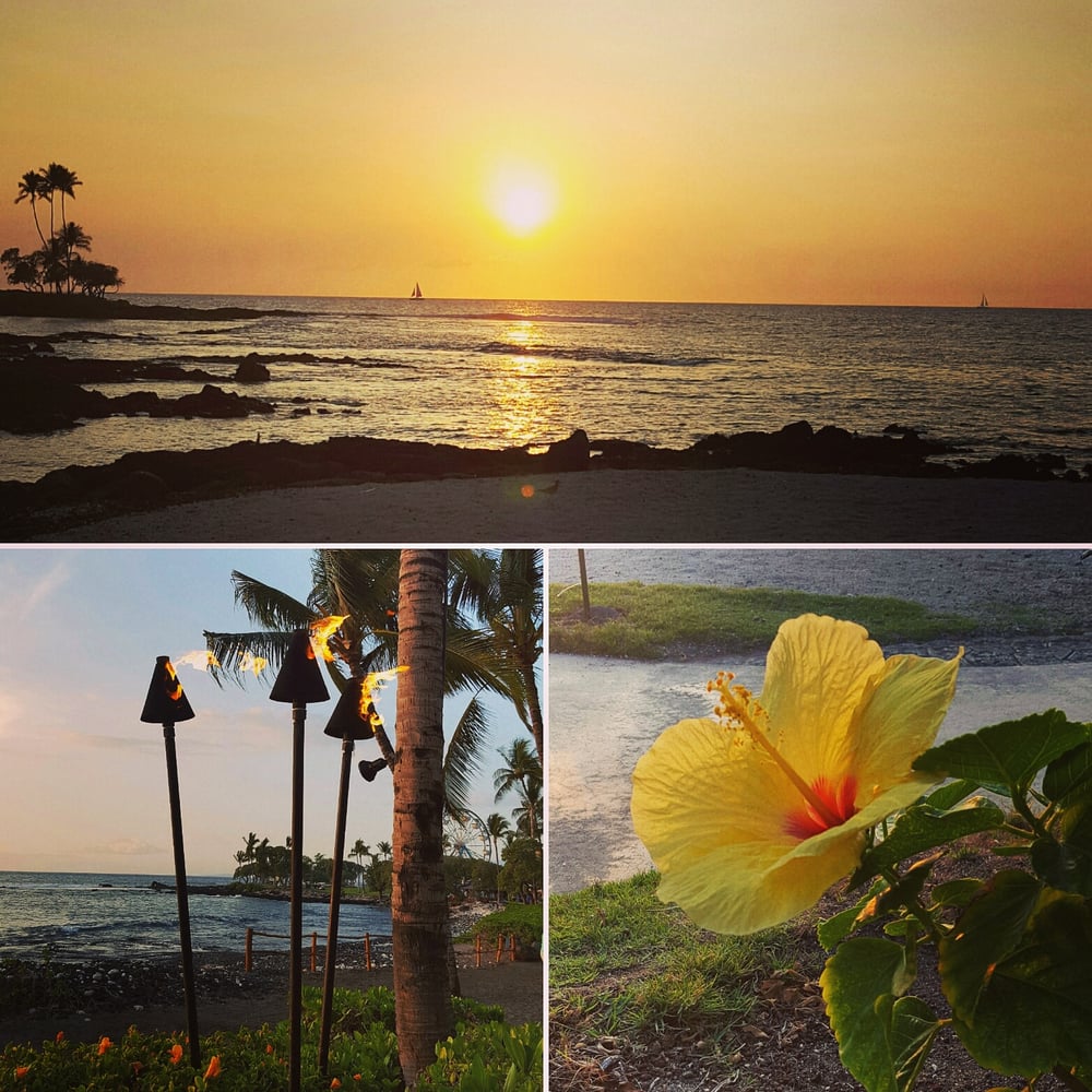 Brown’s Beach House 350 Photos & 279 Reviews Hawaiian 1 North