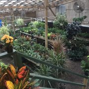 South Pleasantburg Nursery Landscape Garden Ctr 20 Photos Photo Of South Pleasantburg Nursery Landscape Garden Ctr Greenville Sc United States