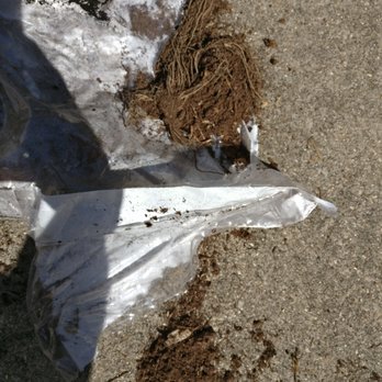 They Sent Bags Of Dirt With Pieces Dead Plants Yelp They Sent Bags Of Dirt With Pieces Dead Plants Yelp