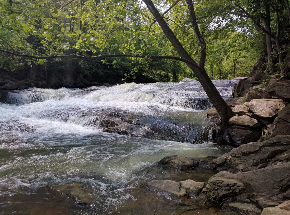Patapsco Valley State Park - McKeldin Area
