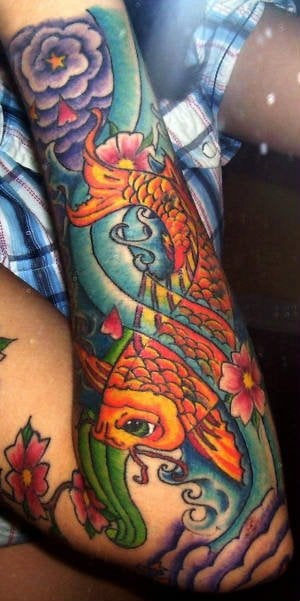 coi fish by christin yelp coi fish by christin yelp