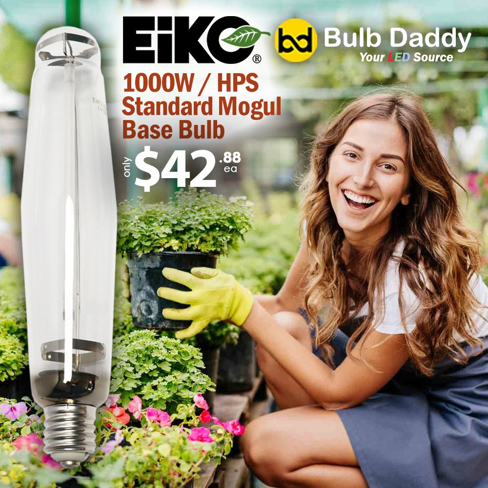 Bulb Daddy