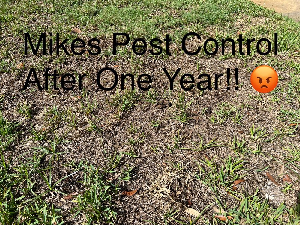 Mike's Pest Control-Michael Poole PHD
