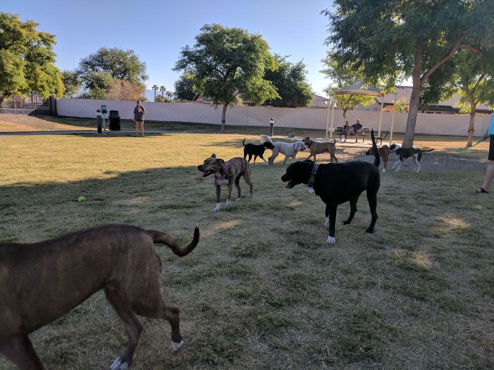 La Quinta Dog Park 11 Reviews Dog Parks 44950 Seeley Dr, La