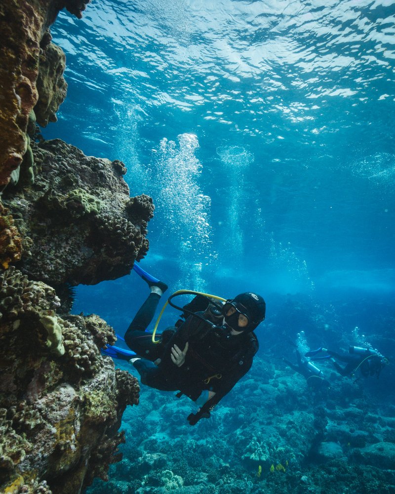 Big Island Divers 133 Photos & 364 Reviews Diving 745467 Kaiwi