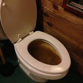hard stool clogging toilet