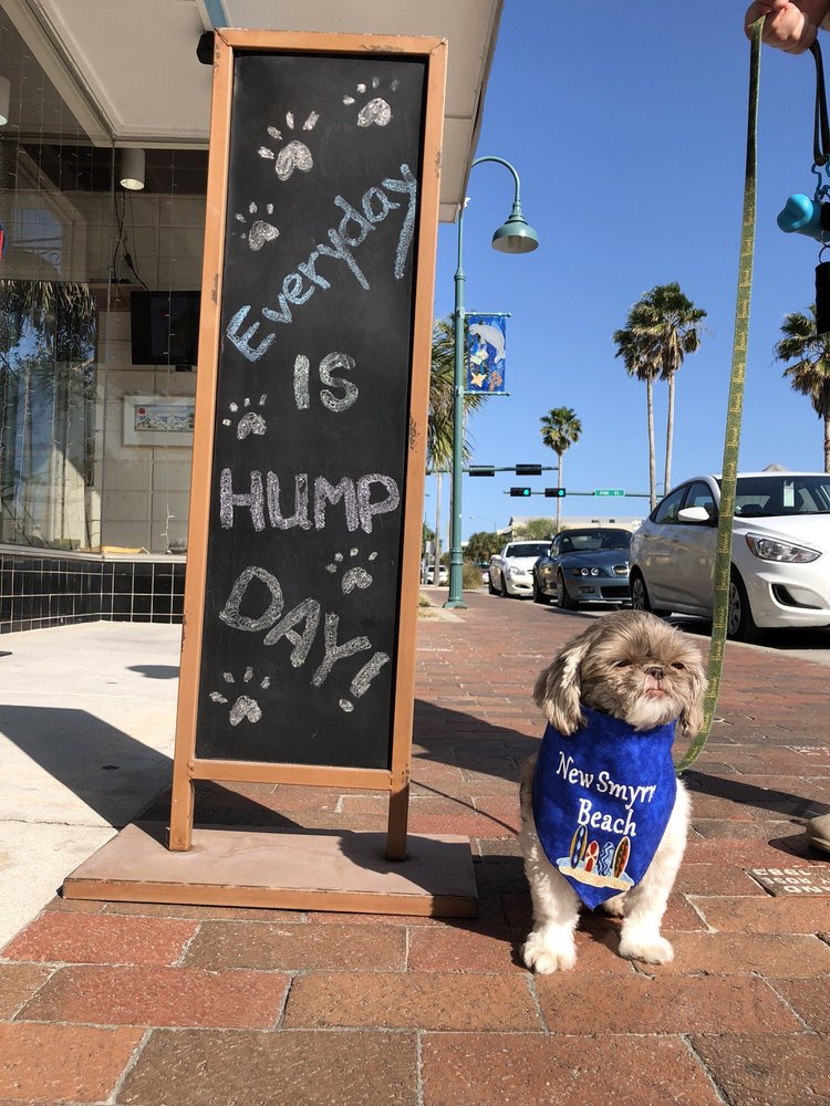 Silly Willie S 21 Photos Pet 221 Flagler Ave New Silly Willie S 21 Photos Pet 221 Flagler Ave New Smyrna Beach Fl Phone Number Last Updated December 10 2018 Yelp