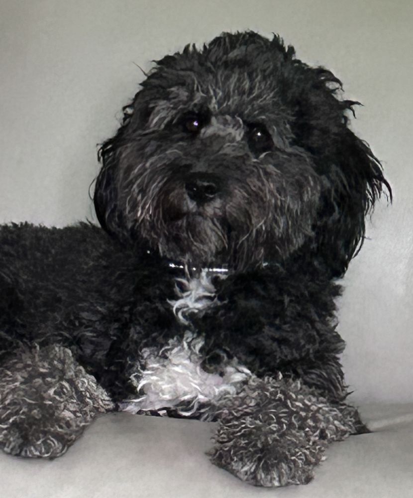 Linda Kay, Cardinal Financial