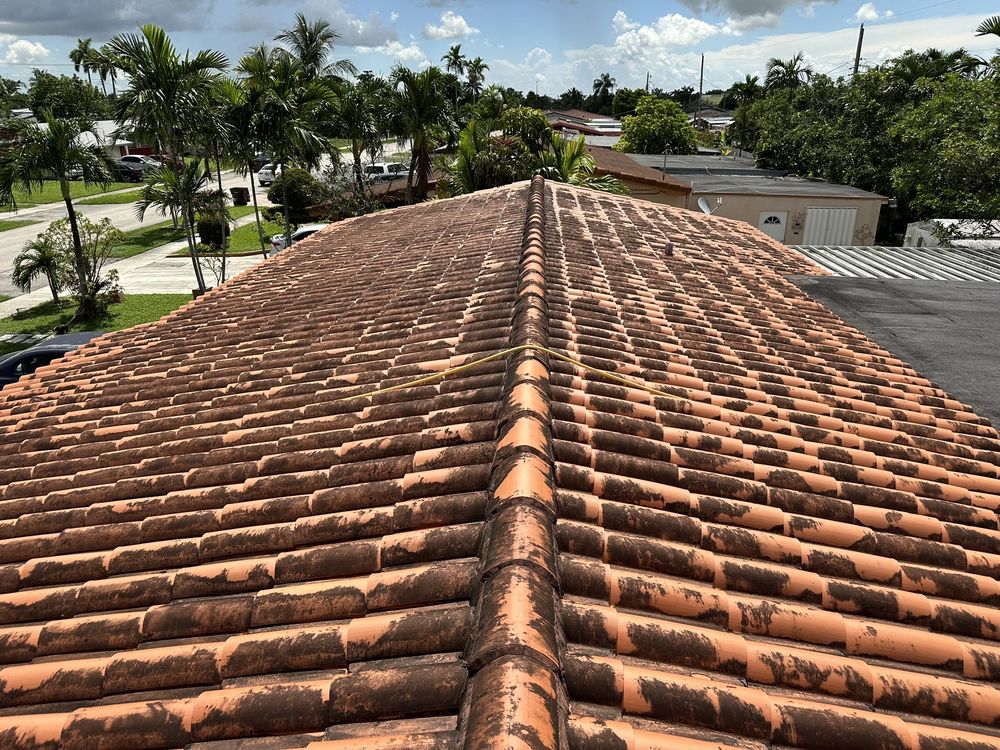 Miami Roof Cleaning Services