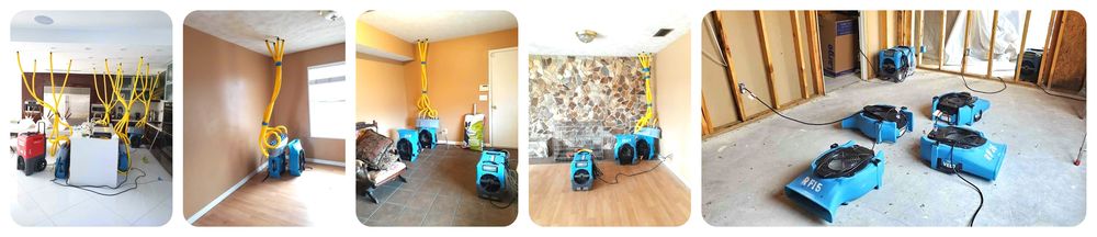 Royal Water Damage