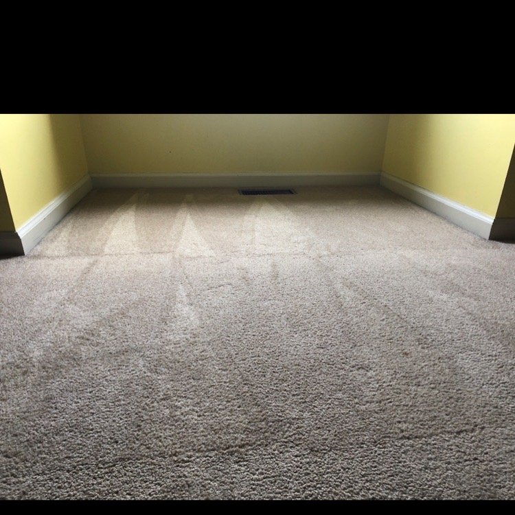 Family Comfort Carpet Dry Cleaning